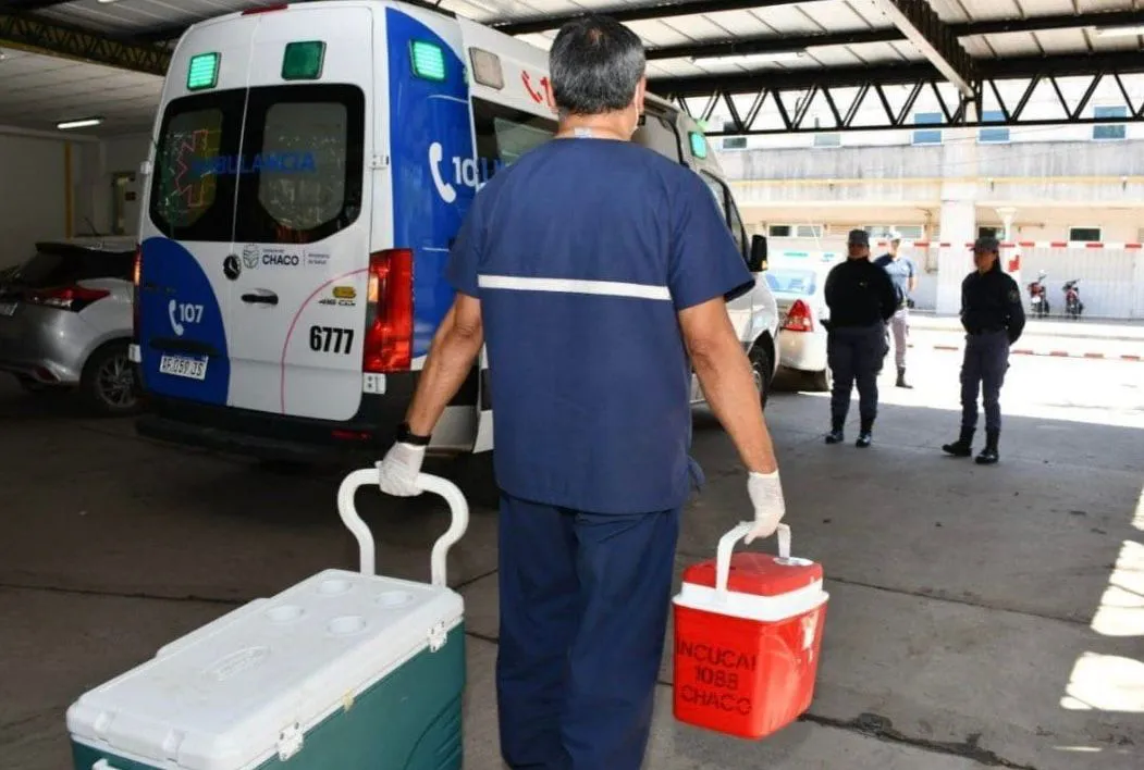 WhatsApp Image 2025-11-05 at 13.11.40