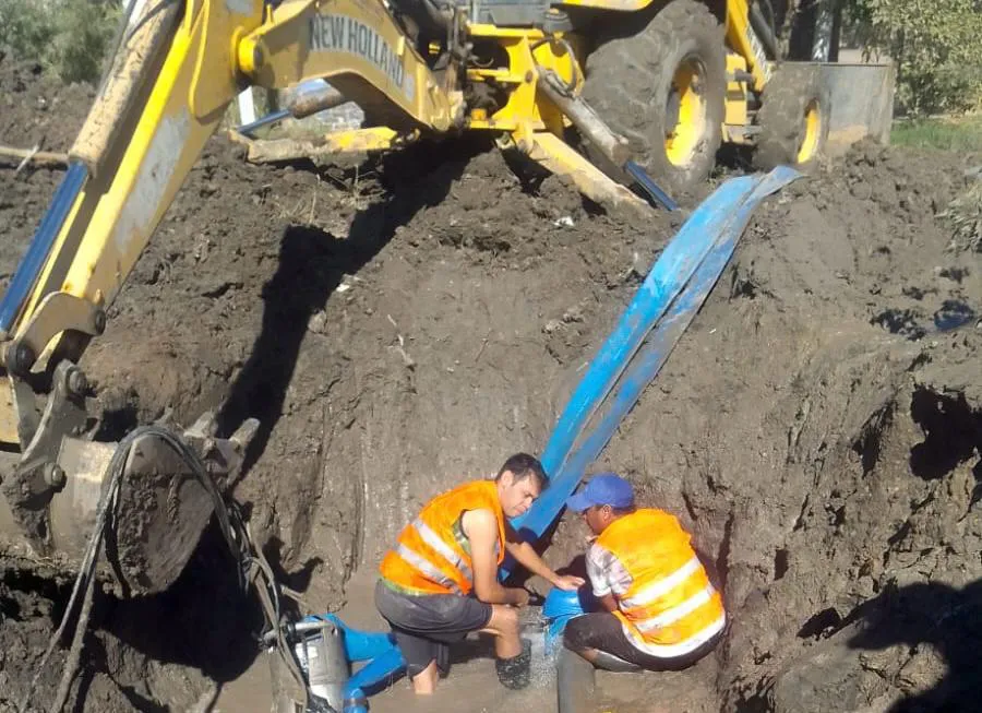 WhatsApp Image 2025-05-01 at 14.11.41