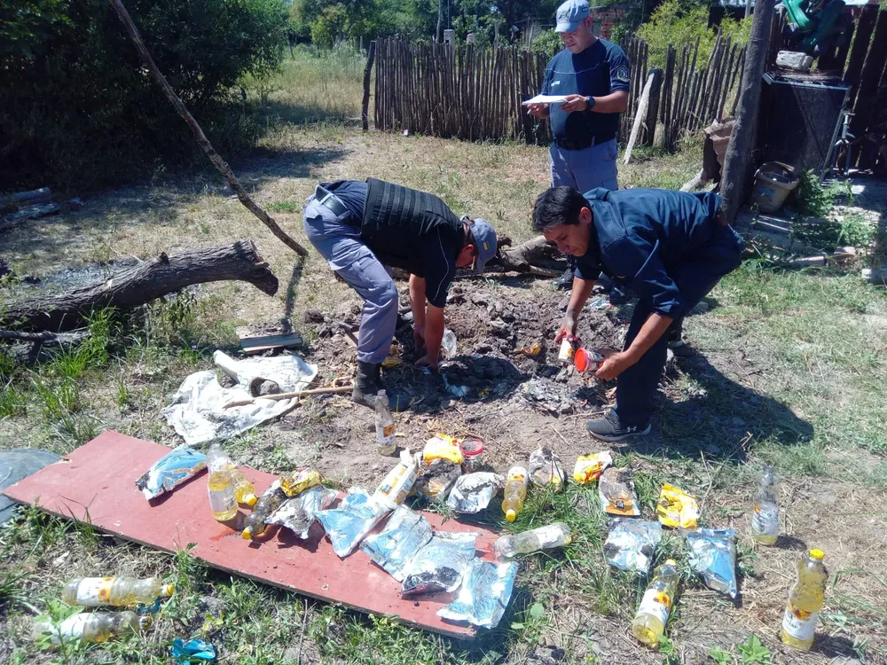 WhatsApp Image 2025-01-14 at 18.31.34 (1)