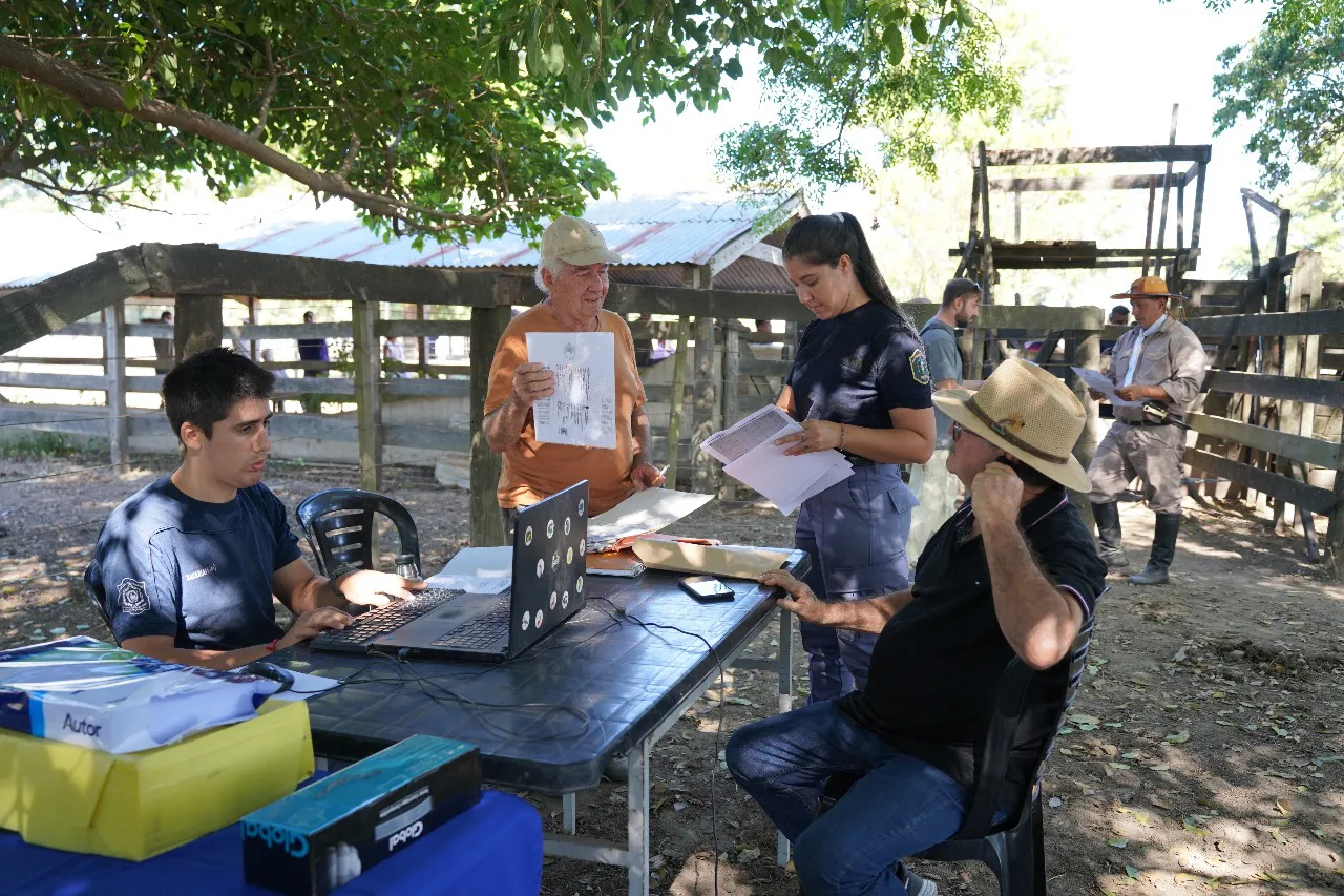 Imagen de WhatsApp 2025-03-12 a las 21.01.42_6939e228