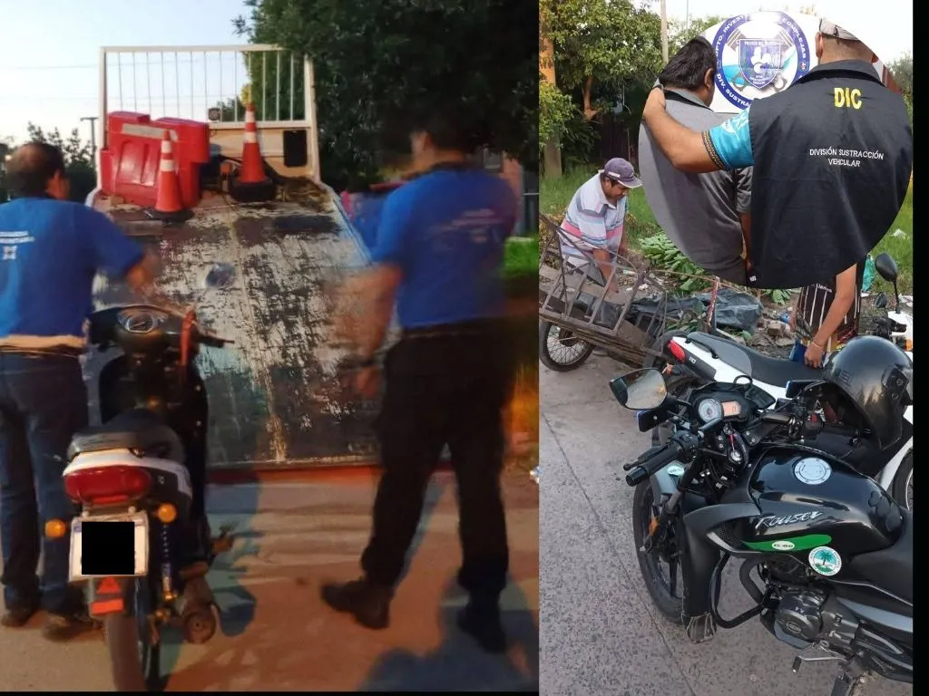 Presentación (43) (5)