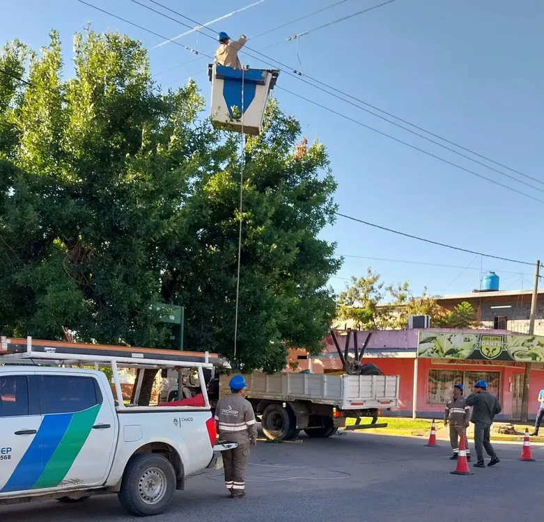 WhatsApp Image 2026-01-15 at 15.38.48