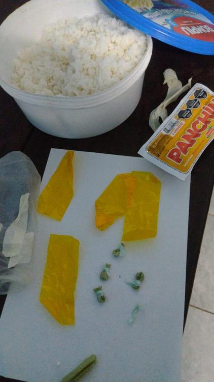 WhatsApp Image 2023-08-12 at 08.49.05