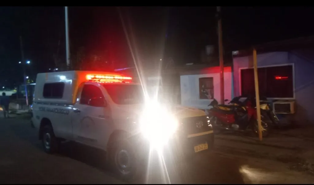 POLICIALES