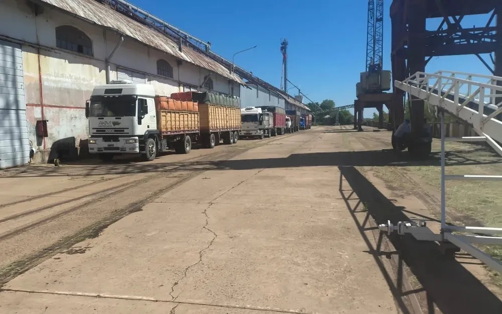 WhatsApp Image 2026-01-07 at 09.38.43