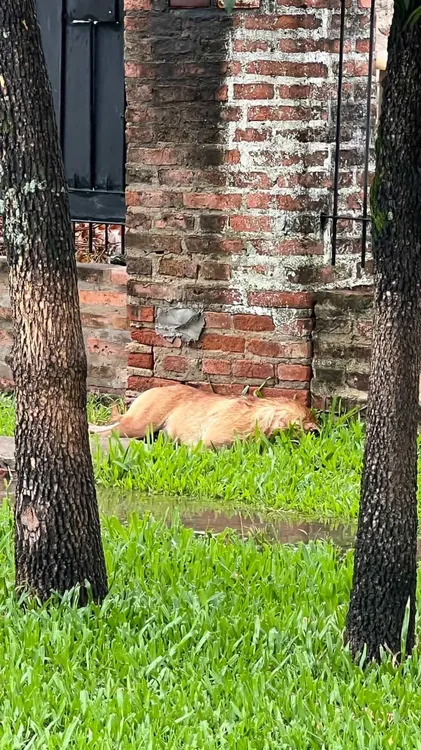 WhatsApp Image 2025-12-15 at 11.41.00 (1)