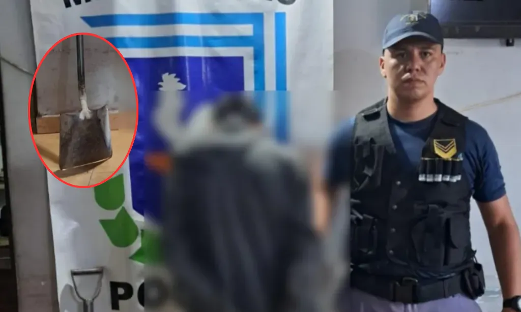 Presentación (43) (2)