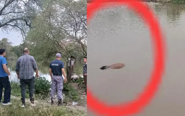 Sin título