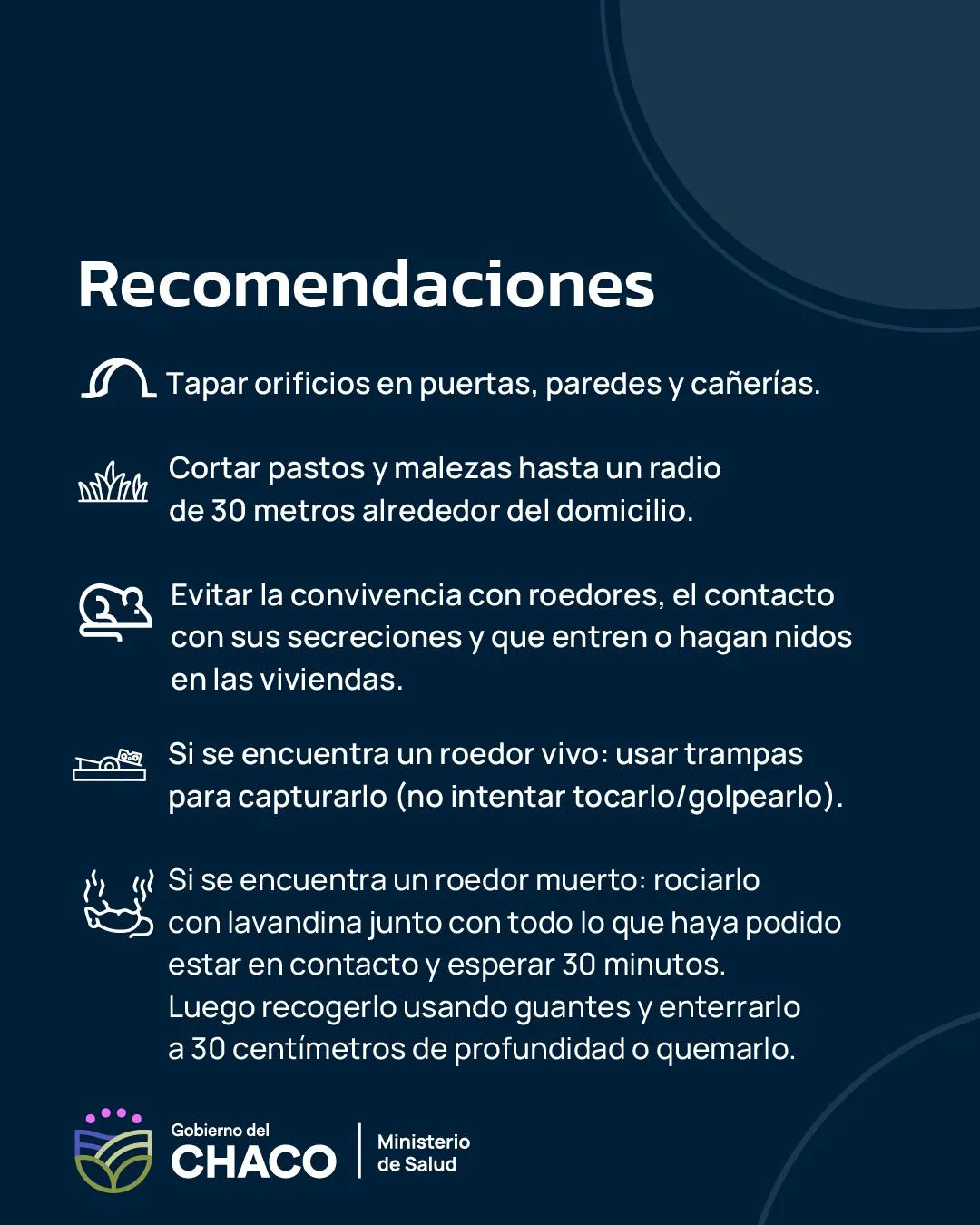 WhatsApp Image 2025-03-15 at 22.09.52