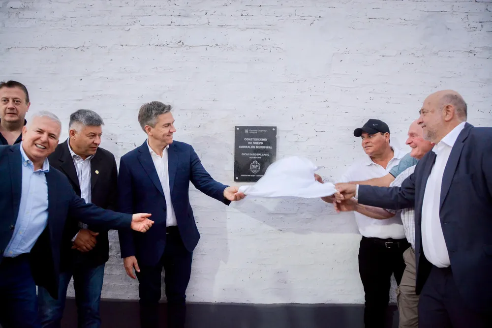 WhatsApp Image 2024-11-15 at 09.00.42