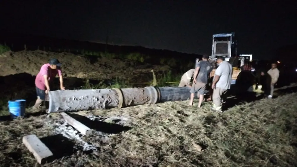 WhatsApp Image 2026-04-03 at 00.34.17