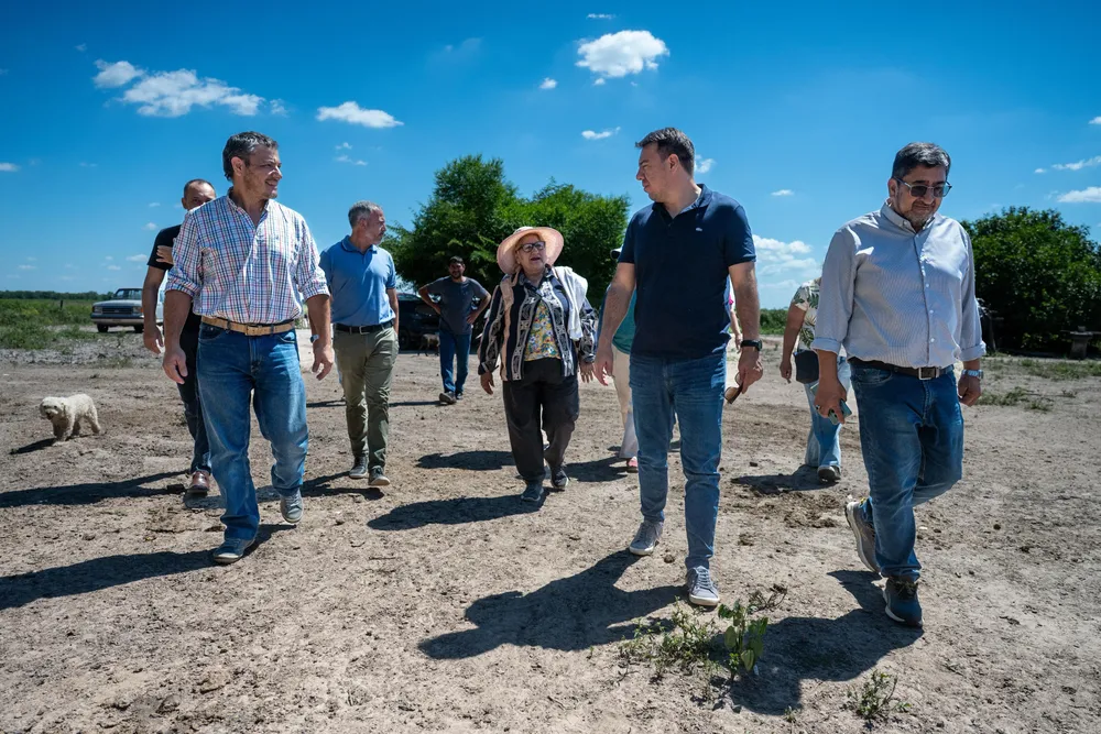 WhatsApp Image 2026-04-03 at 17.05.29