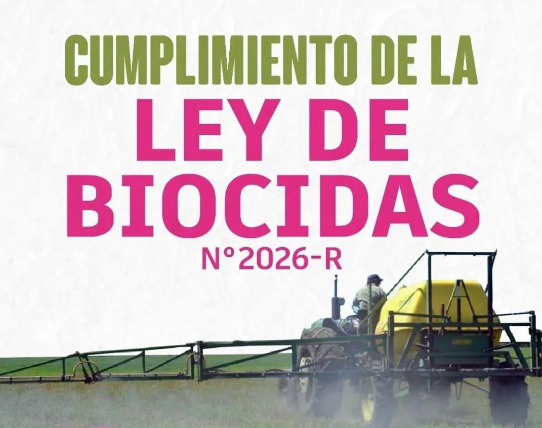 WhatsApp Image 2025-08-04 at 12.35.59