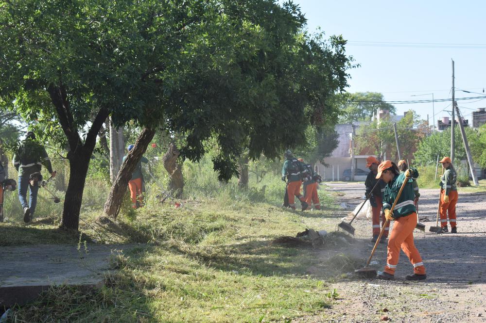 limpieza en llaponagat