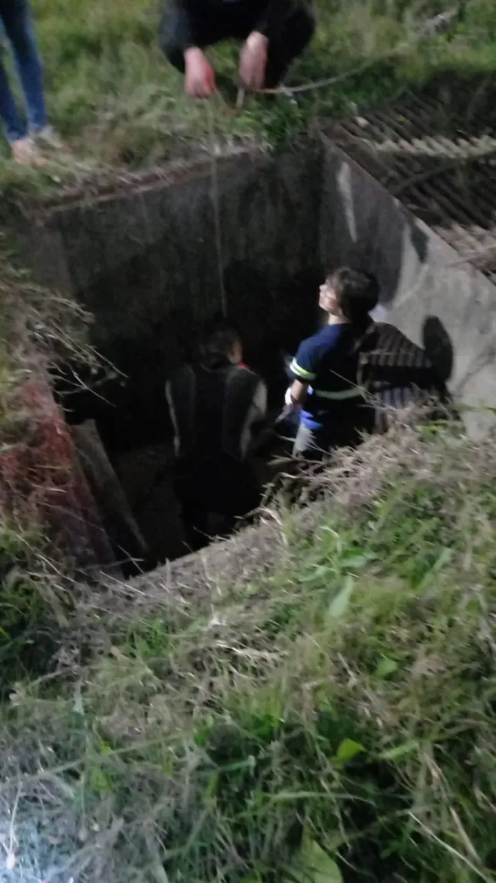 Imagen de WhatsApp 2025-08-30 a las 11.32.28_d9135c19