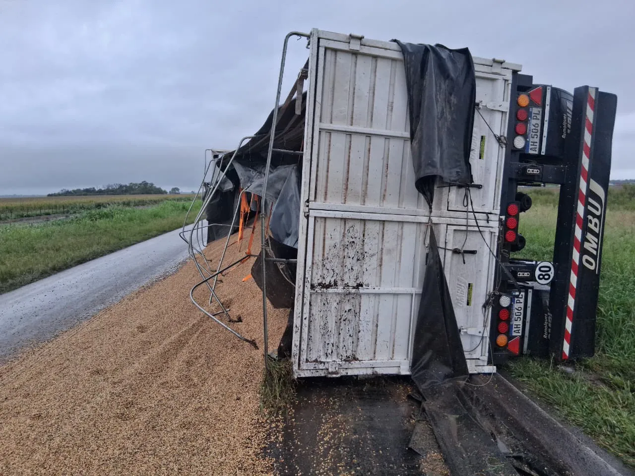 WhatsApp Image 2025-12-28 at 09.06.51