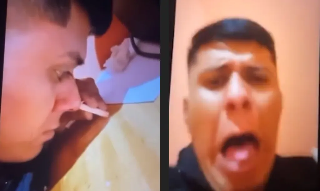 Presentación (43) (2)