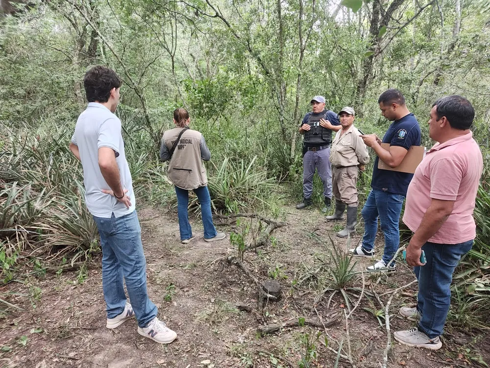 WhatsApp Image 2026-03-11 at 18.24.52