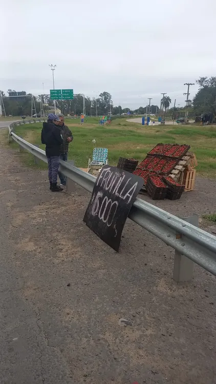 WhatsApp Image 2024-07-30 at 12.51.12 (3)