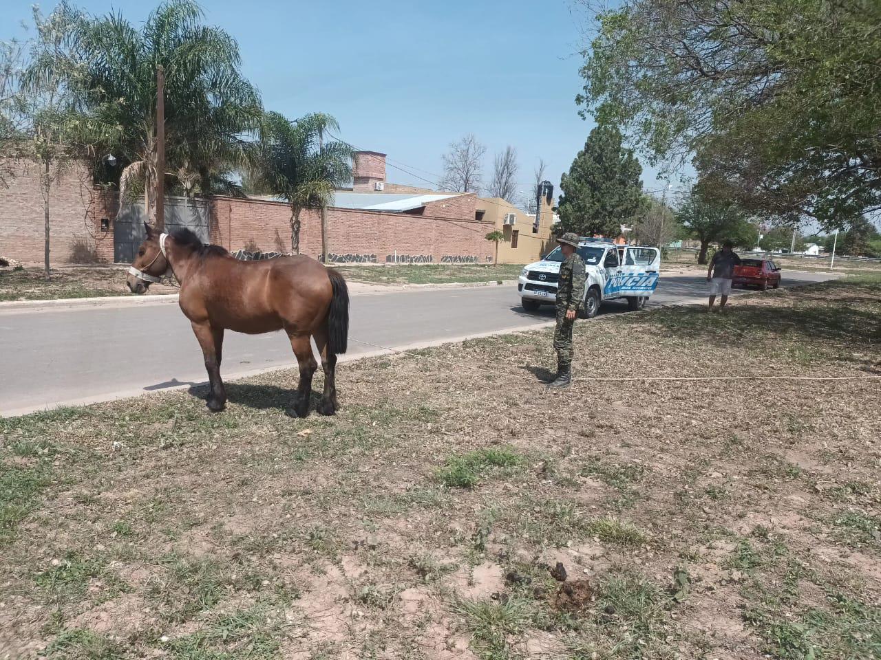 WhatsApp Image 2023-09-22 at 17.53.04