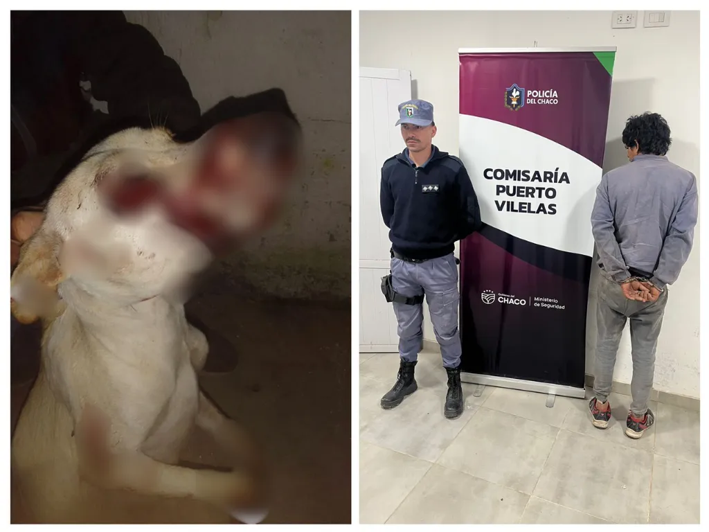 Presentación (43)