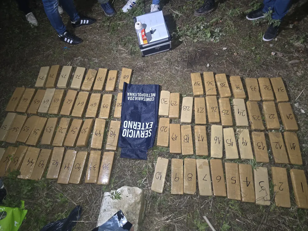 WhatsApp Image 2025-07-31 at 07.05.11