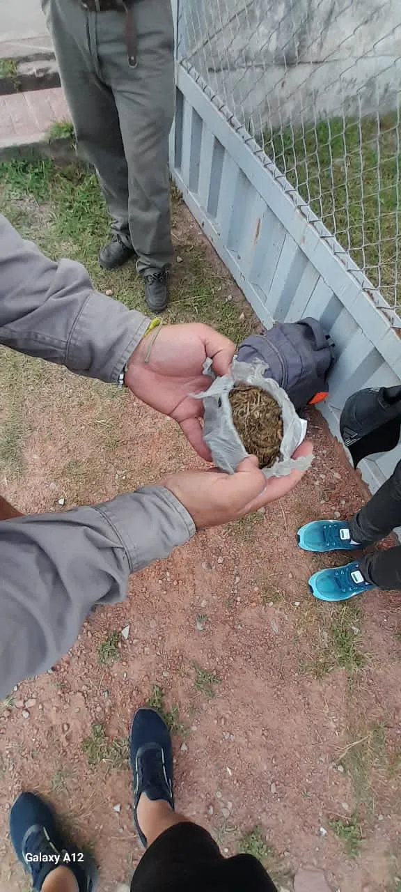 Imagen de WhatsApp 2025-12-02 a las 22.16.28_47e85e25