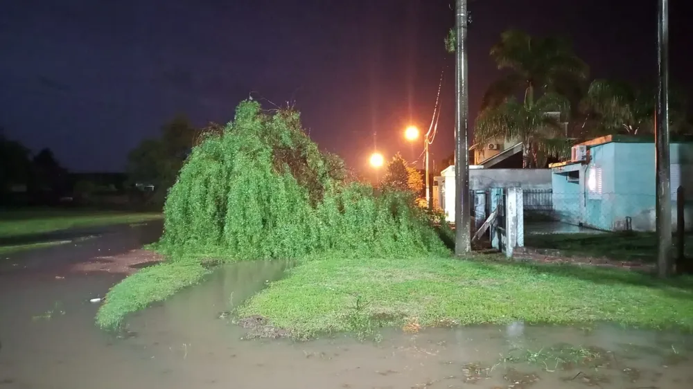 WhatsApp Image 2025-10-25 at 07.59.04