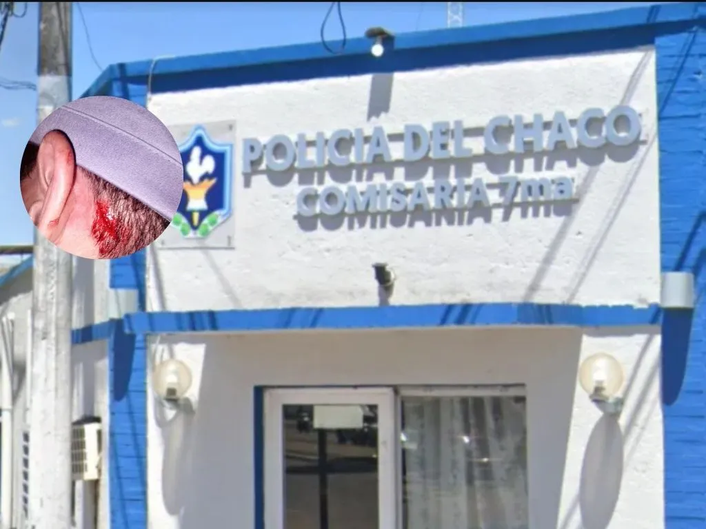 Presentación (43) (15)