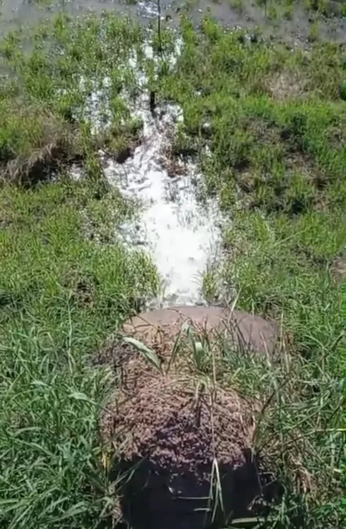 WhatsApp Image 2026-03-30 at 20.06.06