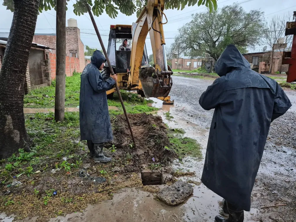 WhatsApp Image 2025-08-19 at 12.50.27