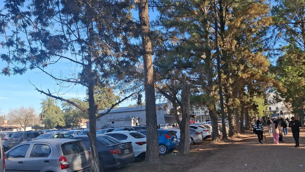 WhatsApp Image 2025-07-05 at 10.29.33