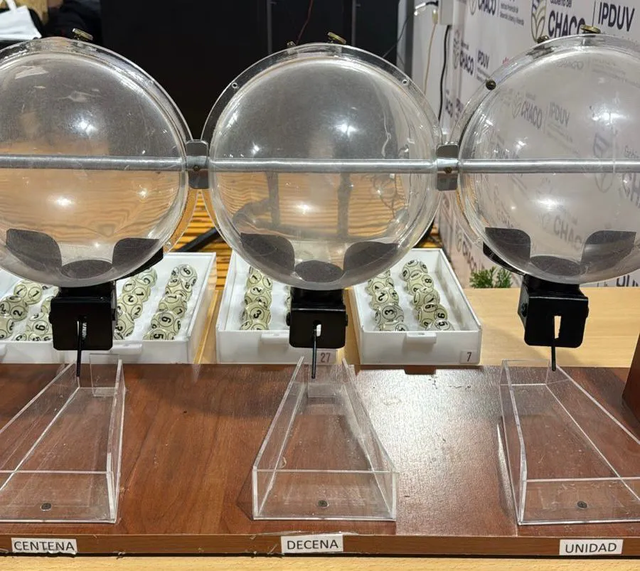 WhatsApp Image 2025-11-11 at 09.26.17