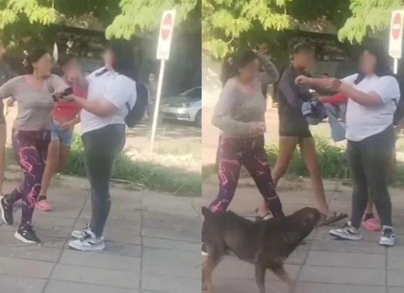 image - 2026-04-11T143736.800