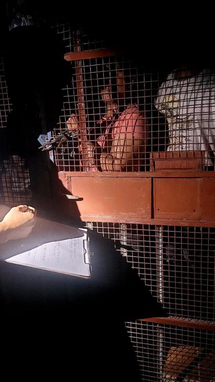 WhatsApp Image 2023-07-05 at 20.01.05