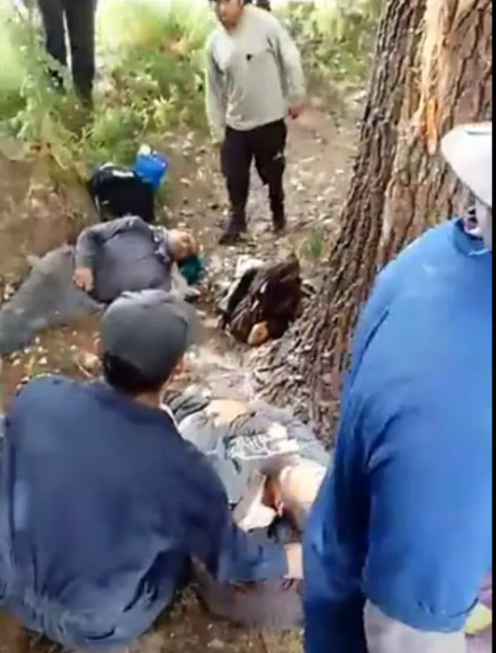 Captura de pantalla 2025-01-28 202831