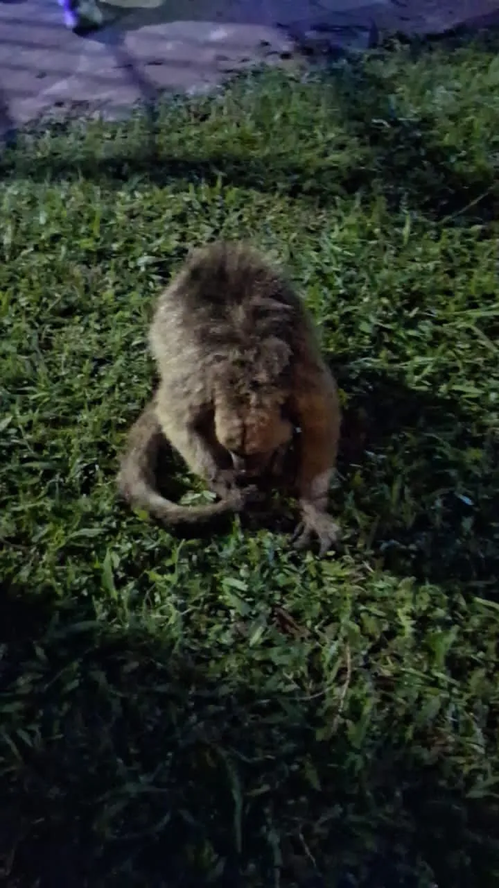 WhatsApp Image 2025-10-18 at 22.31.58 (1)