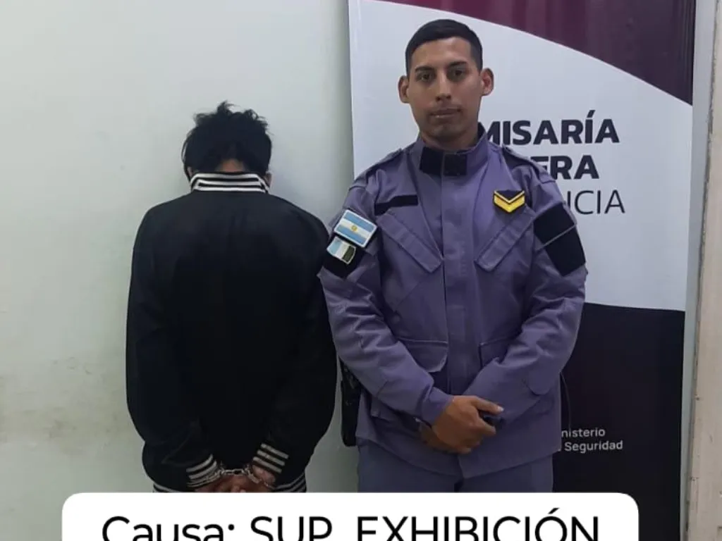 Presentación (43) (8)