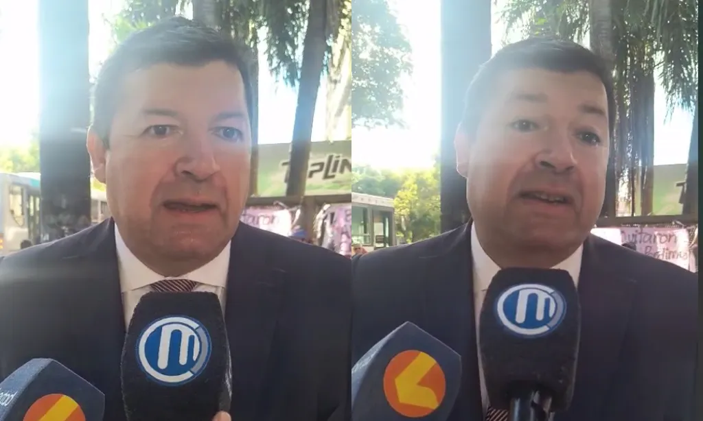 Presentación (43) (2)