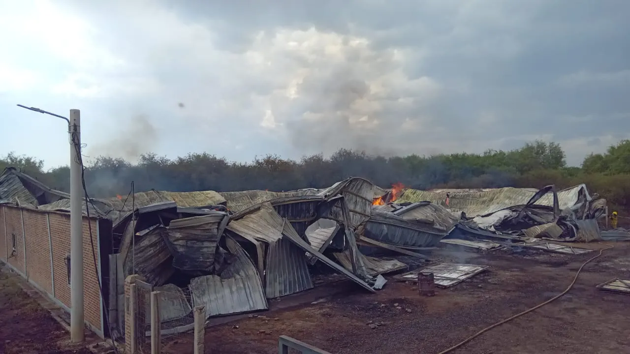 WhatsApp Image 2025-03-08 at 15.45.05