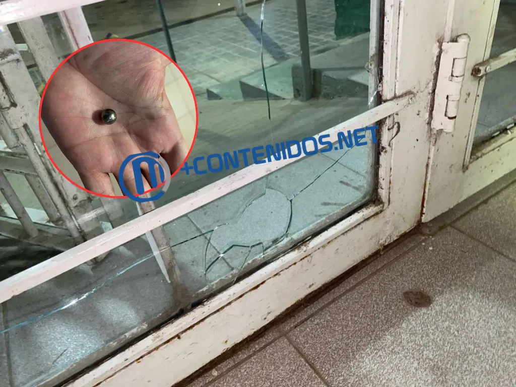 WhatsApp Image 2025-02-17 at 19.46.28