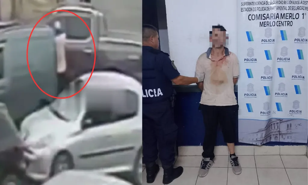 Presentación (43) (1)