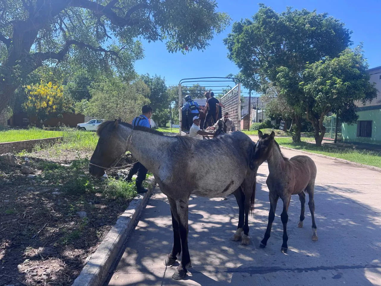 WhatsApp Image 2026-01-12 at 12.20.47