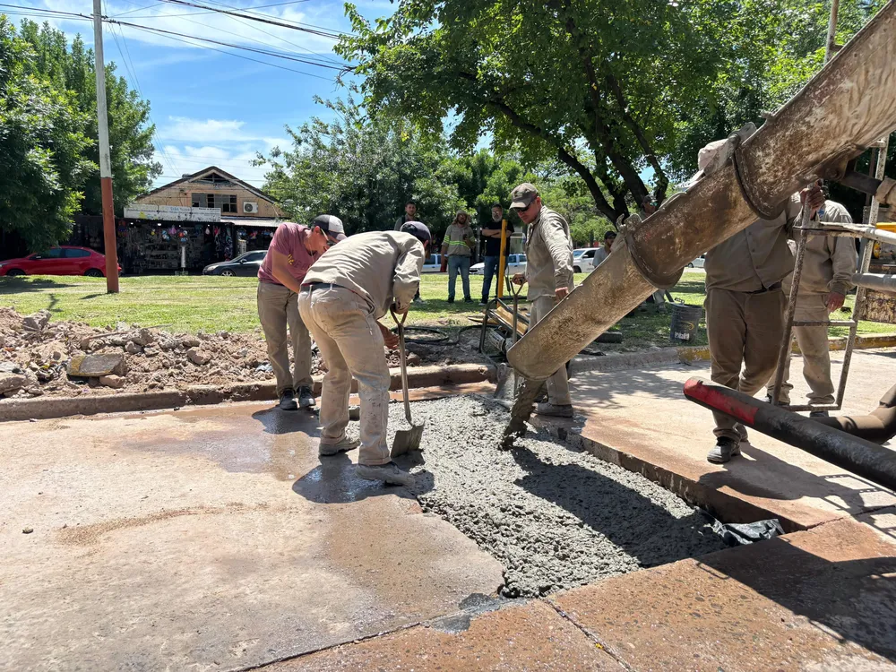 WhatsApp Image 2025-11-11 at 12.31.49