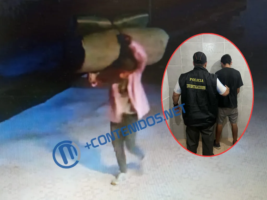 Presentación (43) (1)