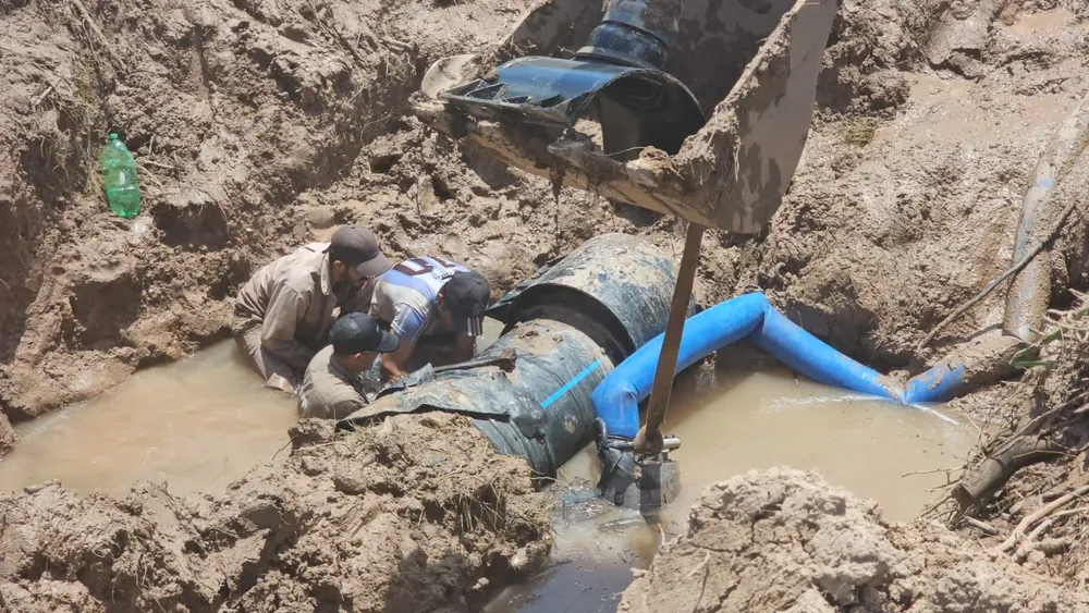 WhatsApp Image 2026-02-06 at 15.18.36