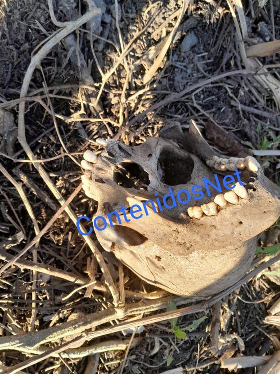 WhatsApp Image 2023-08-13 at 19.31.24