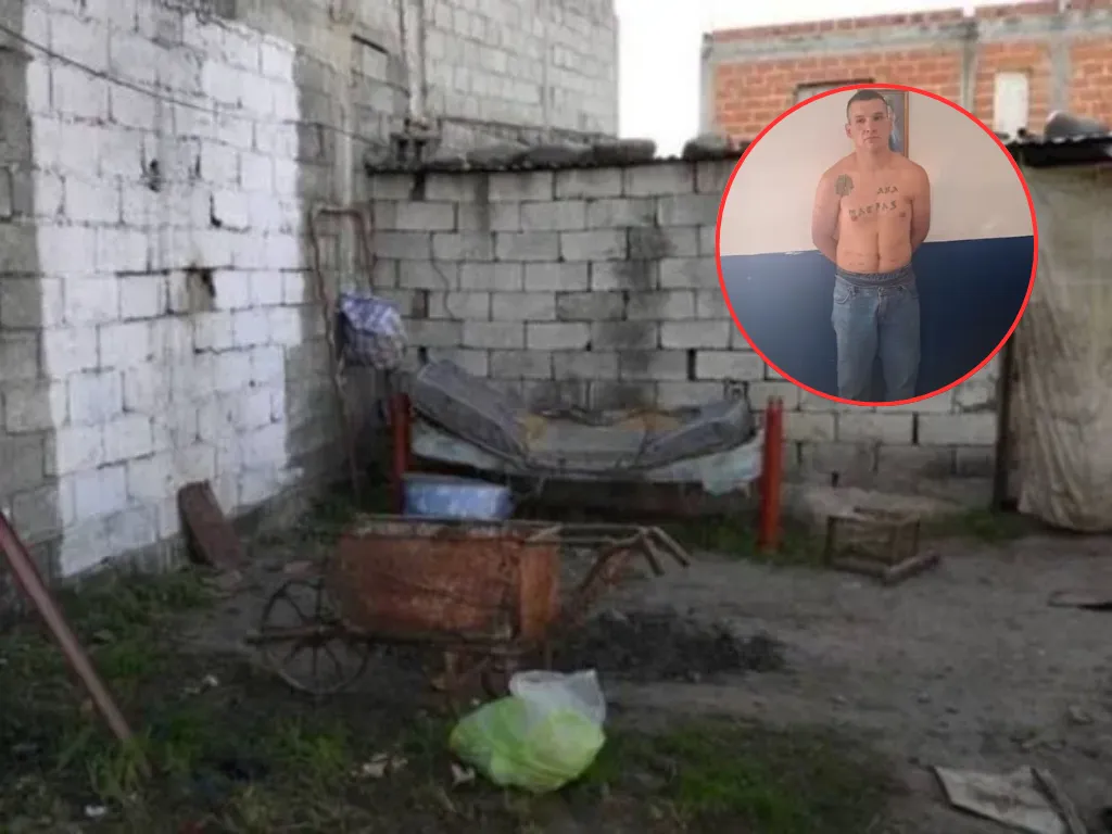 Presentación (43) (1)