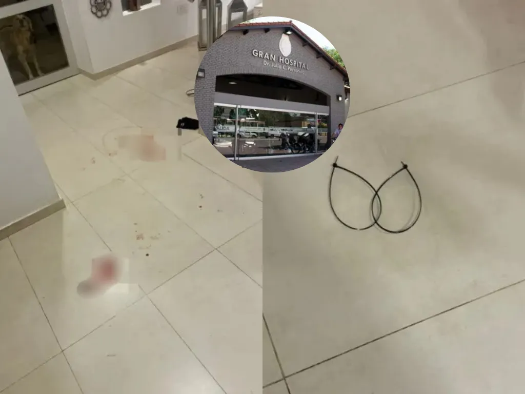 Presentación (43) (1)