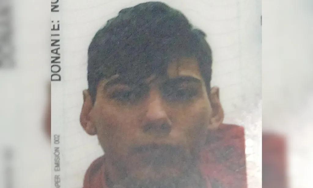 Presentación (43) (2)